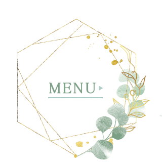 sp_btn_menu